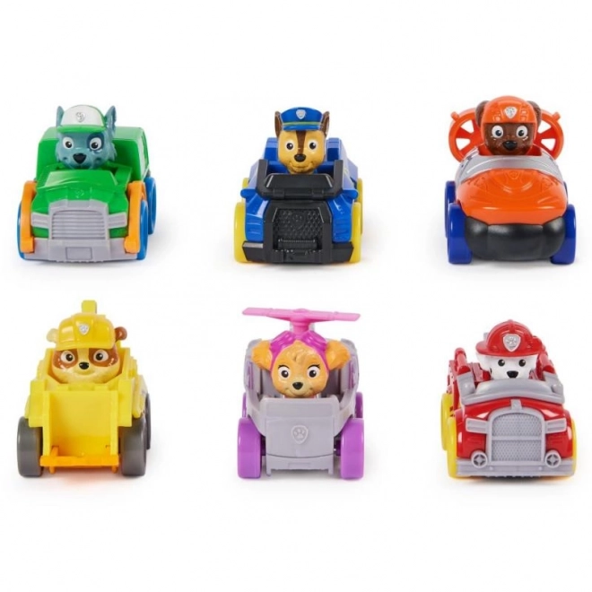 Pat'Patrouille multicoffret mini voitures