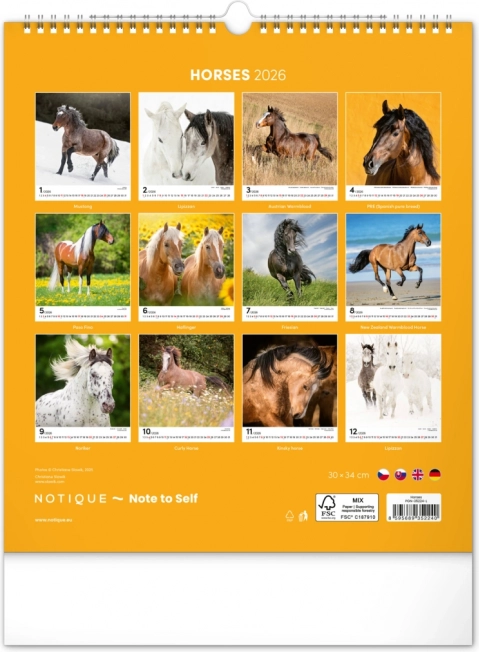 Calendrier mural Chevaux 2026