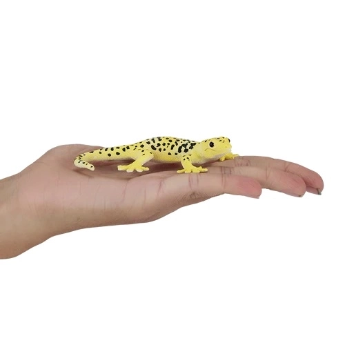 Mojo Gecko Léopard