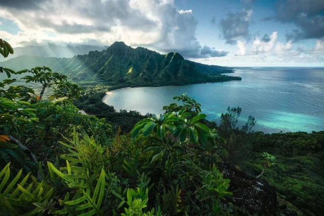 Ravensburger puzzle Vue hawaïenne 5000 pièces