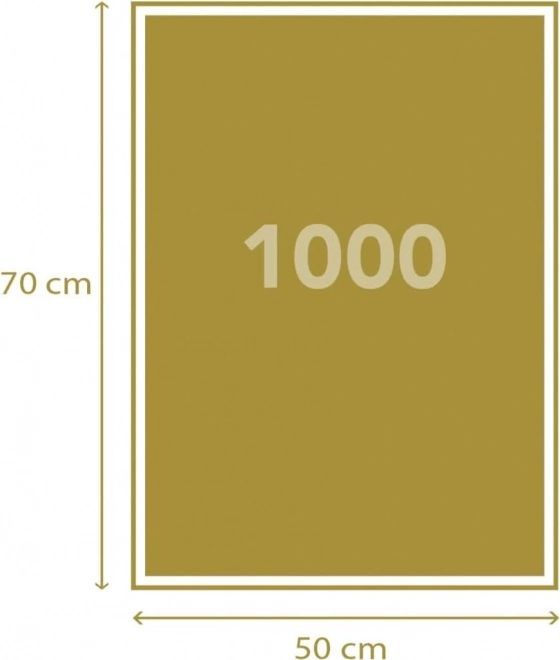 Puzzle de 1000 pièces La vie d'Einstein