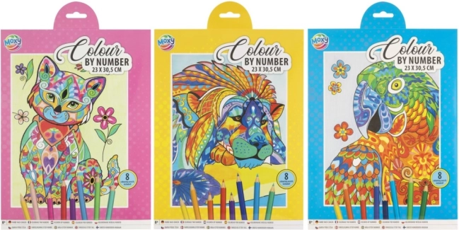 Kit créatif peinture par numéros – lion, 23 × 30,5 cm, 8 crayons de couleur