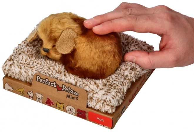 Petit chien Perfect Petzzz