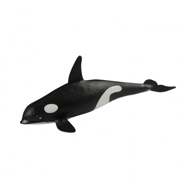 Ensemble d'animaux marins en boîte