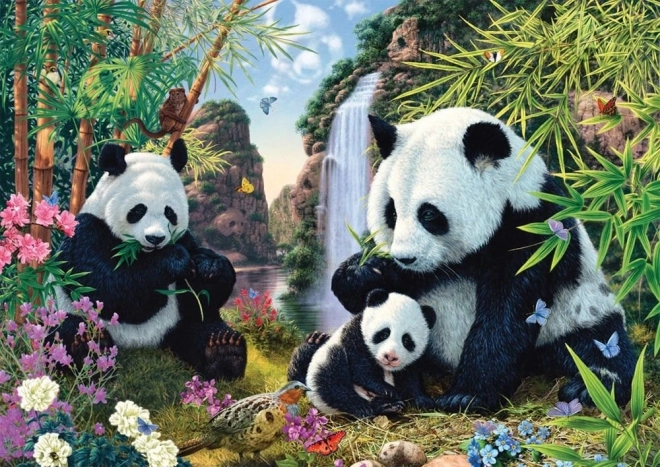 Puzzle pandas près de la cascade 500 pièces SCHMIDT