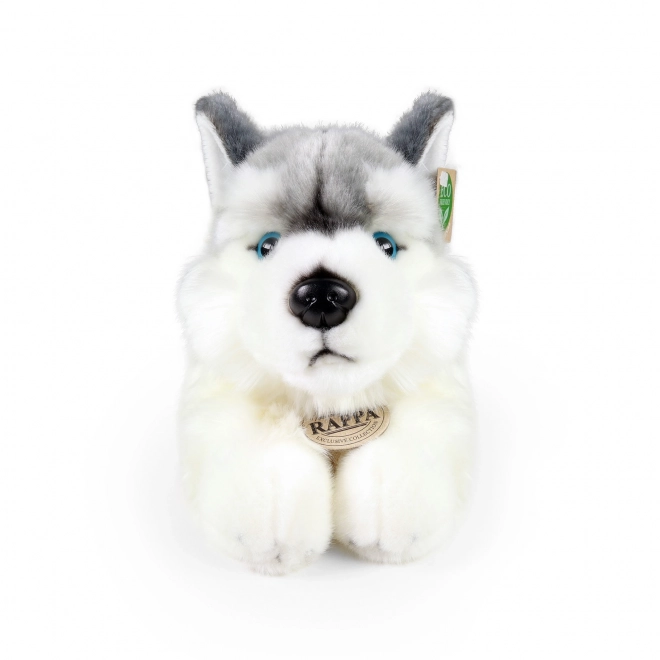 Rappa Peluche Husky couché 30 cm