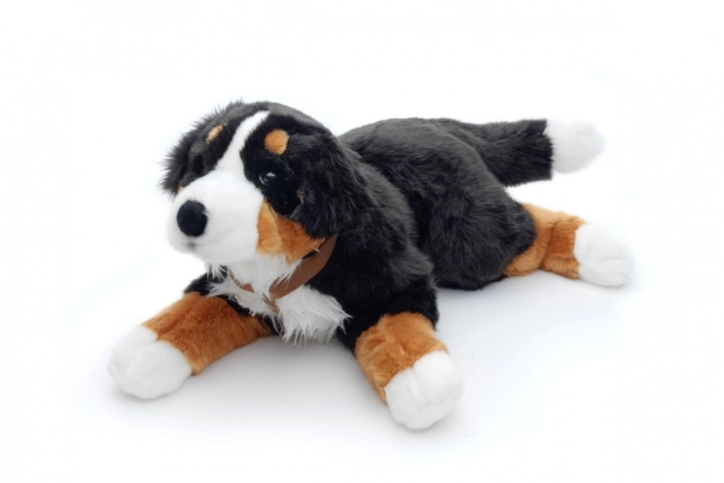 Chien de Montagne des Bernois en peluche 65 cm