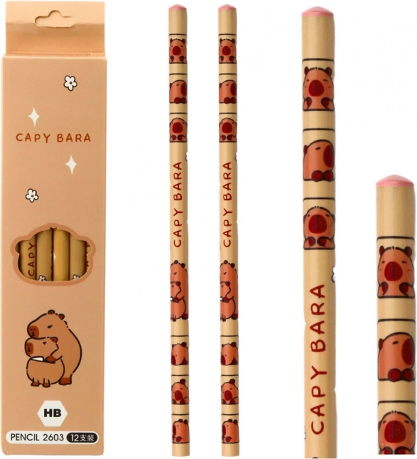 Set de crayons à croquis capybara 12 pièces