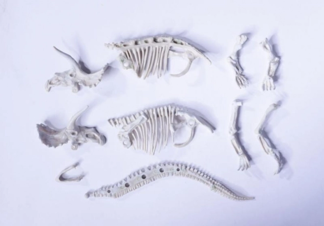 Kit pour déterrer et assembler des squelettes de dinosaures