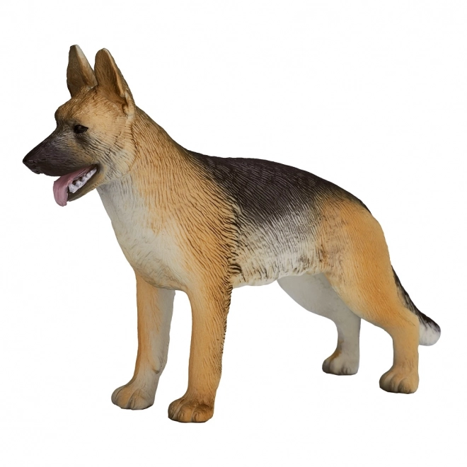 Mojo Chien de berger allemand