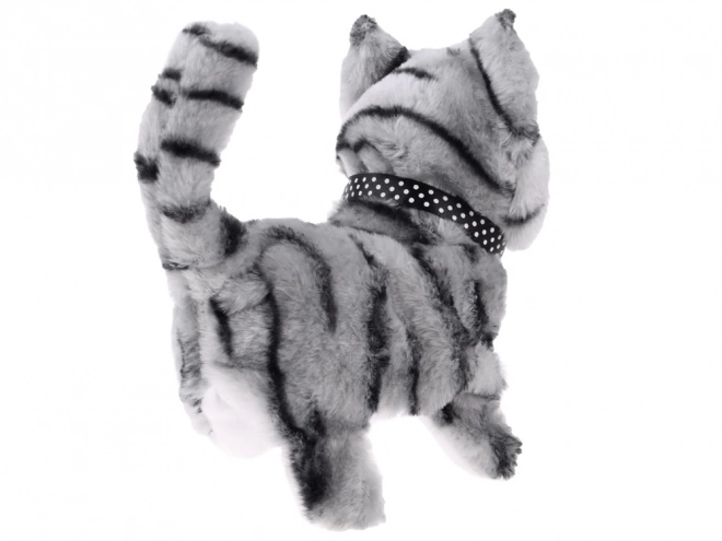 Chat interactif gris pour jouer
