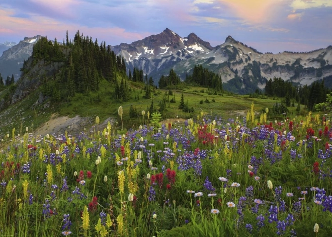 Puzzle 2000 éléments - Monts Tatoosh