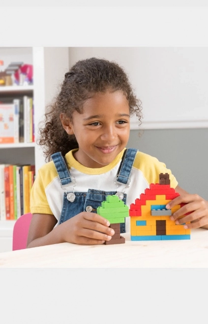 Blocs de construction classiques 55 pièces