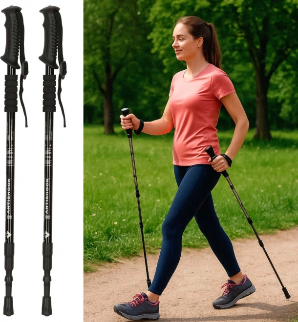Bâtons de trekking pliants Nordic Walking, noirs, 2 pcs