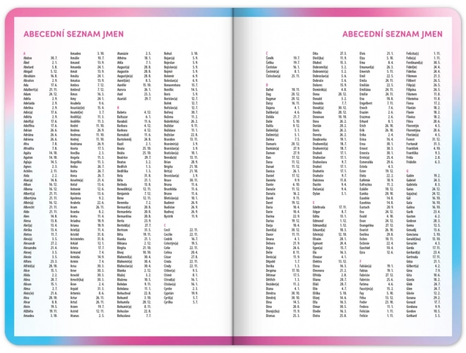 Agenda scolaire rose septembre 2025 – décembre 2026