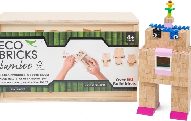 Kit de construction en bois 250 pcs dans une boîte