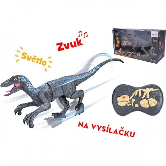 Raptor RC télécommandé 45 cm