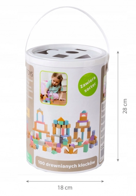 Blocs en bois 100 pcs dans un seau avec trieur Ecotoys
