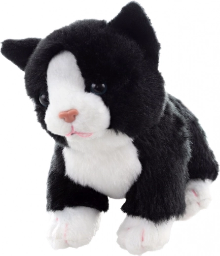 Position debout pour le jeu et l’exposition