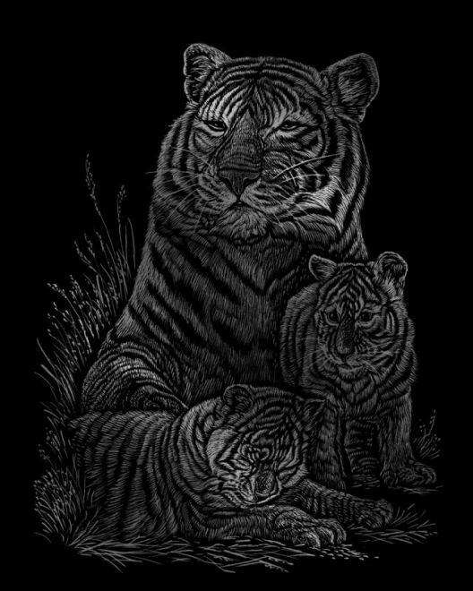 ROYAL & LANGNICKEL Illustrations à gratter en bloc Animaux sauvages
