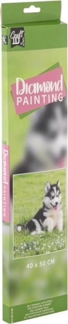 GRAFIX Peinture au diamant Husky 40x50cm