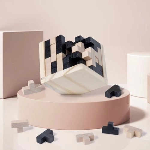 Cube logique en bois – casse-tête 3D pour enfants et adultes