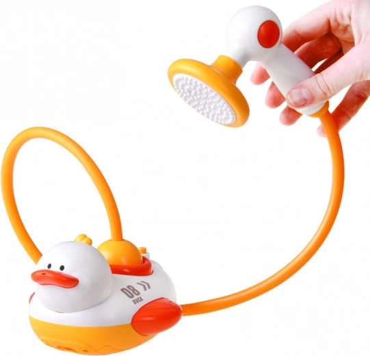 Douchette manuelle avec têtes interchangeables