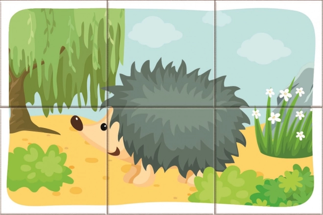 Dino Blocs de bois Animaux de la forêt