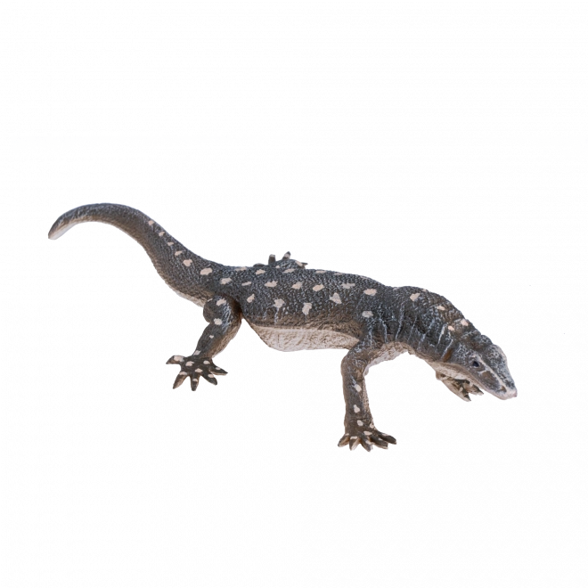 Mojo Varan géant
