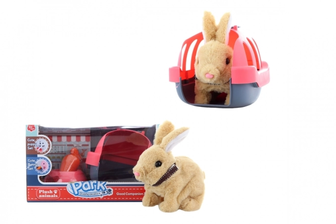 Lapin à piles avec caisse de transport