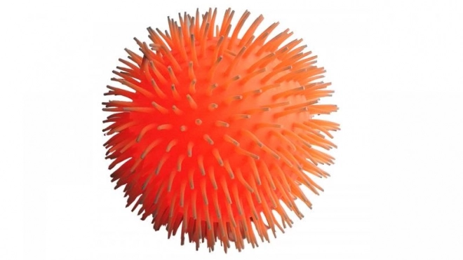 Balle lumineuse hirsute mélangée