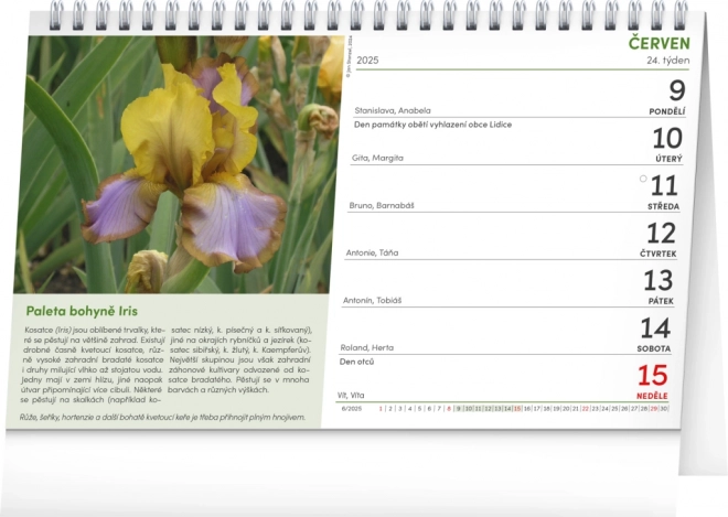 Calendrier de Bureau NOTIQUE Jardinier 2025, 23,1 x 14,5 cm