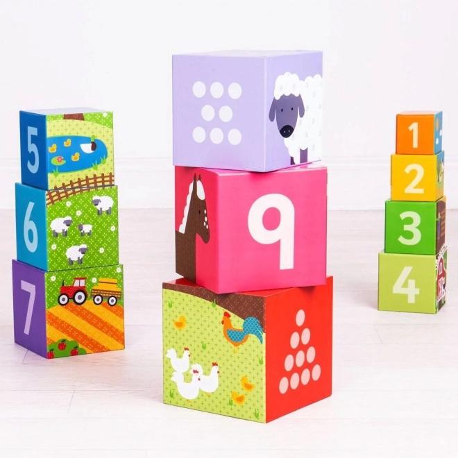 Bigjigs Toys Cubes didactiques ferme