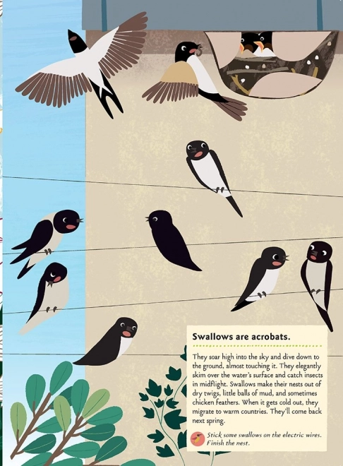 Chronicle Books Livre d'activités autocollants ma nature Oiseaux du monde