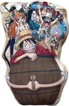 Coussin ONE PIECE 3D