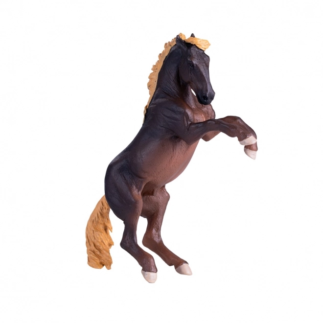 Mojo Étalon Brumby