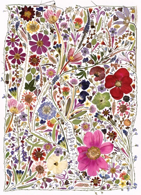 Puzzle Fleurs Pressées Printemps 1000 Pièces de Cobble Hill