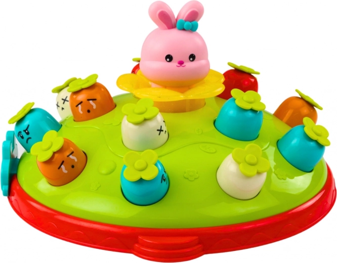 Design coloré et interactif