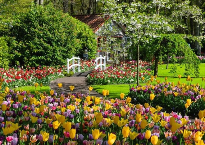 Puzzle 1000 pièces RAVENSBURGER – Magnifiques jardins de Keukenhof, Pays-Bas
