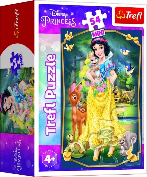 Minipuzzle Belles princesses/Disney Princess 54 pièces