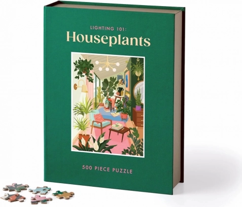Puzzle Galison Plantes d’intérieur et leurs besoins en lumière 500 pièces