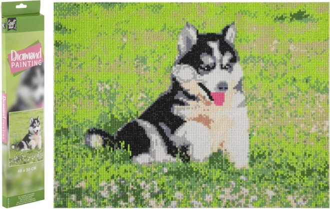 GRAFIX Peinture au diamant Husky 40x50cm