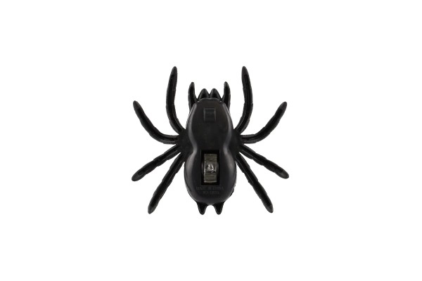 Araignée grimpante en plastique sur verre 8cm 3 couleurs sur carte