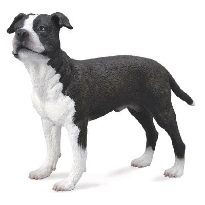 Figurine de Staffordshire Terrier Américain