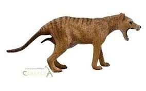 COLLECTA Thylacine (tigre de Tasmanie) - femelle
