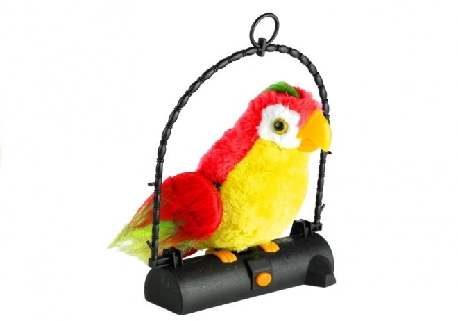 Perroquet Pleciuga Oiseau répète les mots rouge