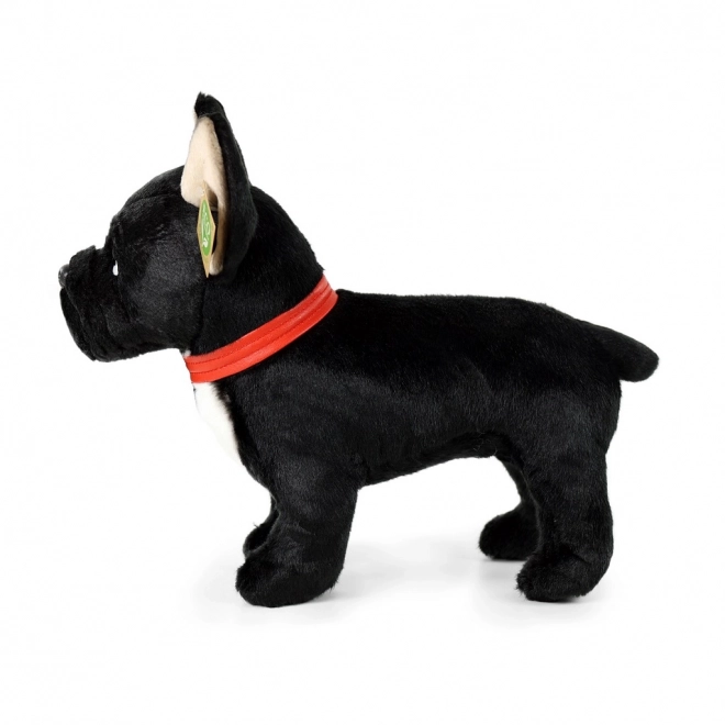 Bouledogue français en peluche noir avec collier debout 30 cm ECO-FRIENDLY