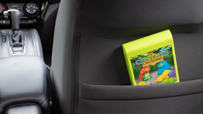 ThinkFun Traverse de Caméléon