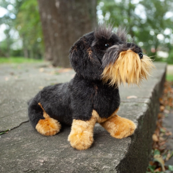 Teckel à poil dur en peluche assis 30 cm ECOLOGIQUE