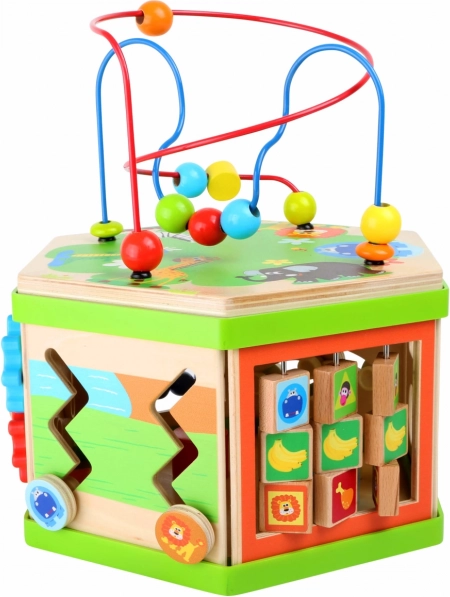 Activités multifonctions